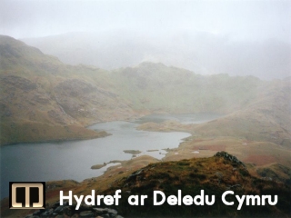 Teledu Cymru 'Autumn' caption