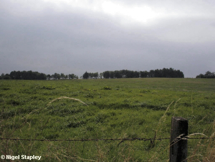 Picture of a reclaimed field