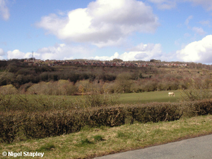 Picture of estate of new houses seen from across the valley
