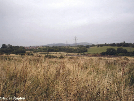 Picture of reclaimed land