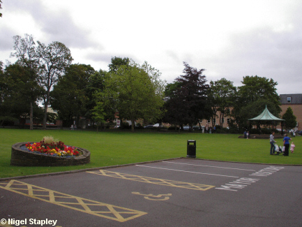 Picture of a large lawn