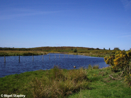 Picture of a small lake on a mountain-top