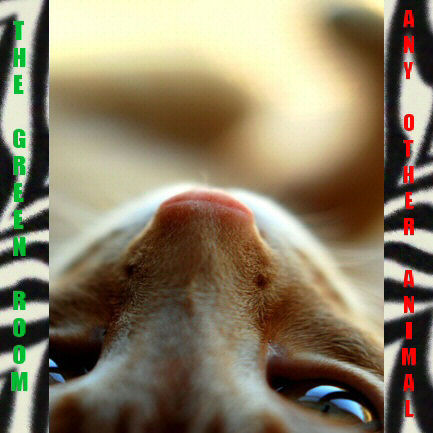 Cover of the album 'Any Other Animal' by The Green Room