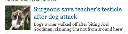 Screenshot from the 'Independent''s website - Headline says 'Surgeons save teacher's testicle after dog attack', sub-heading says 'Dog's owner walked off after biting Joel Goodman, claiming 'I'm not from around here''