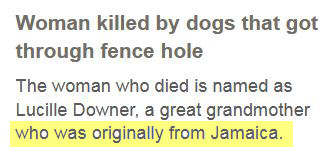 Screenshot from BBC News stating that the victim of a lethal dog attack in Rowley Regis 'was originally from Jamaica'