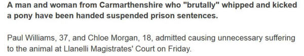 Screenshot of BBC news item: '...admitted causing unnecessary suffering to the animal at Llanelli Magistrates' Court...'