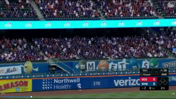 screenshot of a crowd in a ballpark