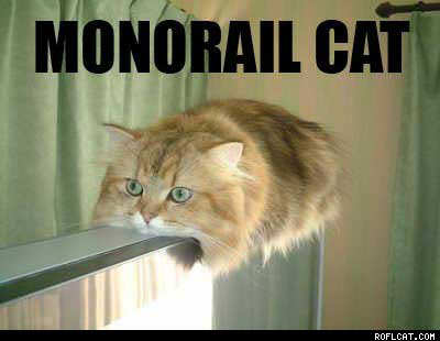 Picture of a cat on a picture rail - looks like a monorail train