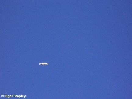 Photo of a Belugha aircraft coming in to land at Aerospace, Broughton