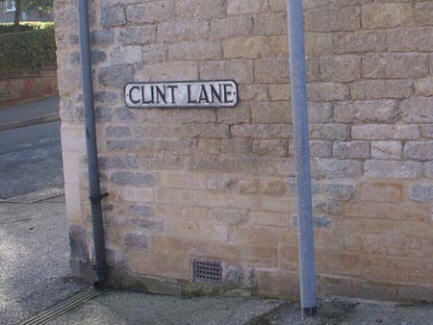 Photo of a road sign where someone has joined up the bottom of the letters 'L' and 'I' in 'CLINT LANE'