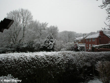 Photo of a heavy frost on trees