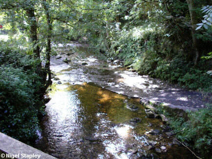 Photo of a river ford
