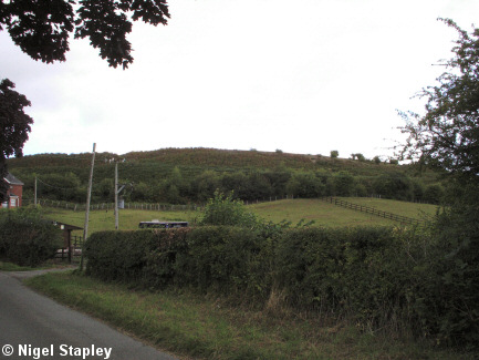 Photo from a distance of a wooded Iron Age hill fort