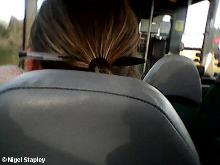 Photo from behind of a woman who has tied her hair back and stuck a ball-point pen through the bun