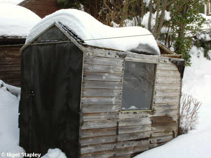 Photo of a shed with its roof collapsed by snow