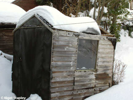 Photo of a shed with its roof collapsed by snow