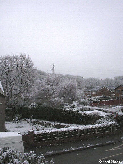 Snow falling on the road alongside my house