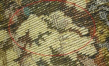 Photo of part of the pattern on a sofa