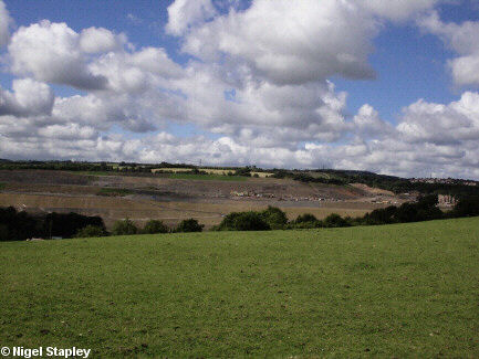Photo of landscaping work