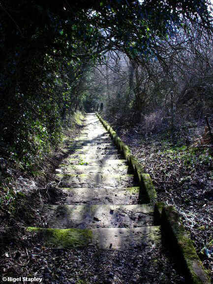 Photograph of a long flight of stone steps